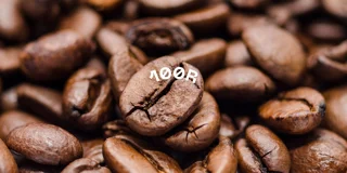 میکس فول کافئین 100 روبوستا
